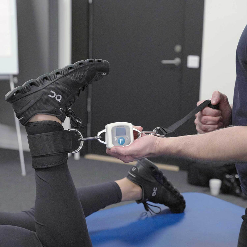 Meloq EasyForce Digital Dynamometer