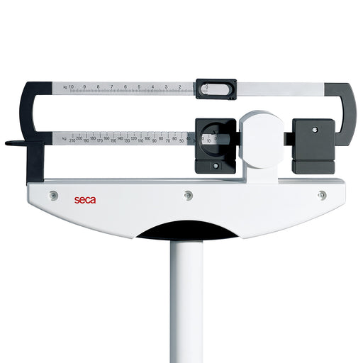 Seca 700 Column Scale with Eye-Level Beam