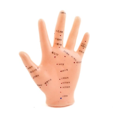 HeineScientific Hand Acupuncture Model