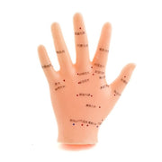HeineScientific Hand Acupuncture Model