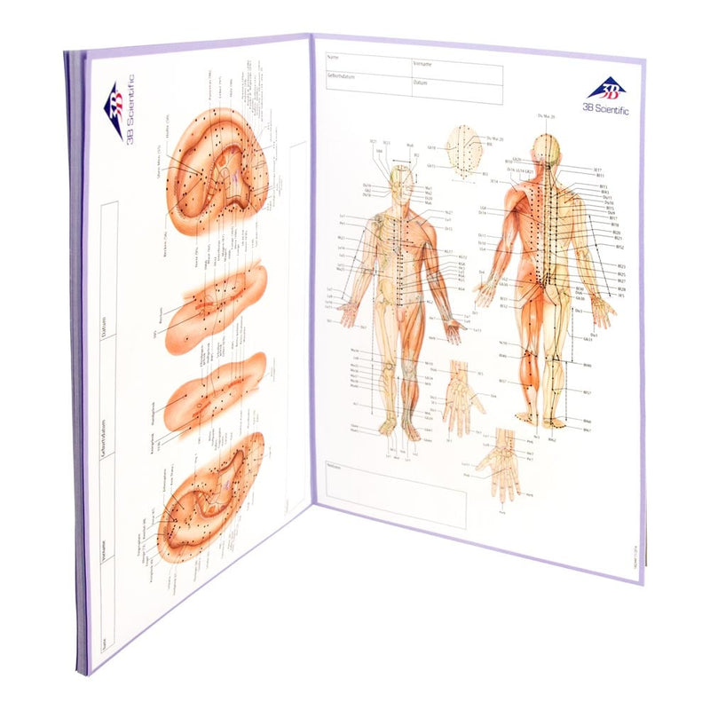 3B Scientific Meridian Notebook for Patient Documentation