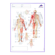 3B Scientific Meridian Notebook for Patient Documentation