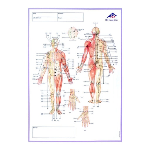 3B Scientific Meridian Notebook for Patient Documentation