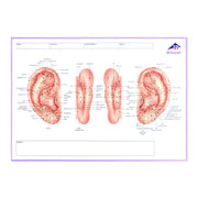 3B Scientific Meridian Notebook for Patient Documentation