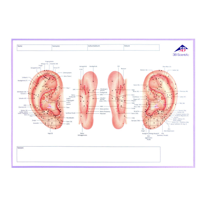 3B Scientific Meridian Notebook for Patient Documentation