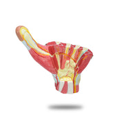 HeineScientific Three-Part Hand Model with High Magnification