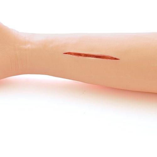 HeineScientific Suture Training Arm Life-Size Model