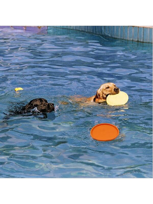 Dog Frisbee Toy