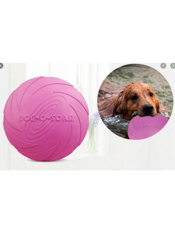 Dog Frisbee Toy