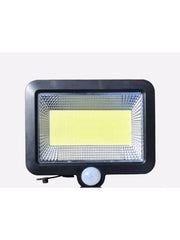 SL-F100 Solar Garden Floodlight