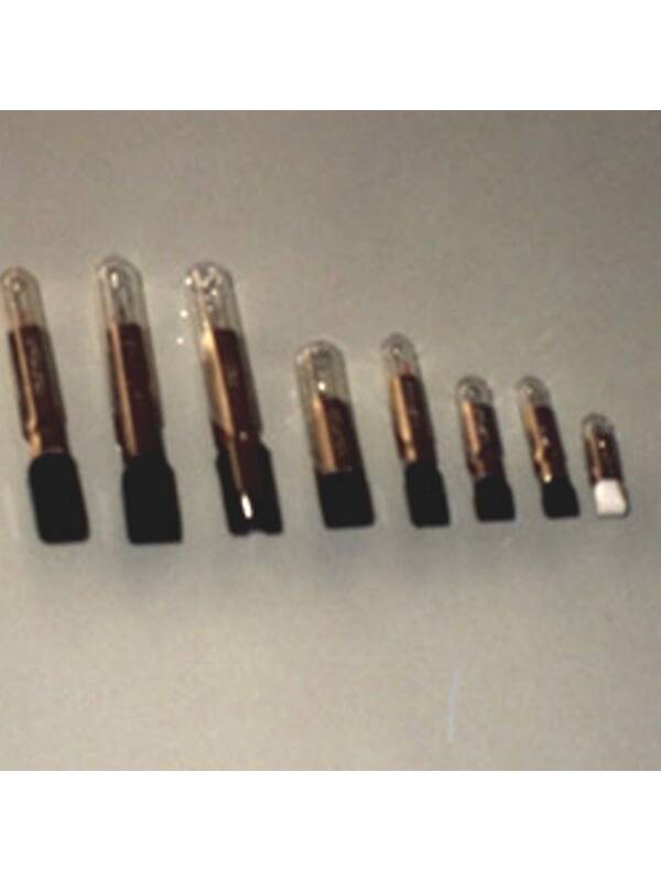 24V 0.05A T6.8 Bulb