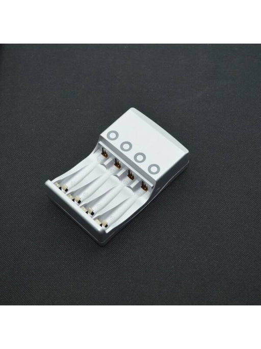 Battery Charger 220V for R3/R6 Batteries