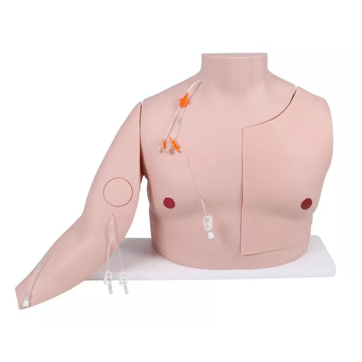 Erler-Zimmer Vascular Victor Port and CVC Trainer