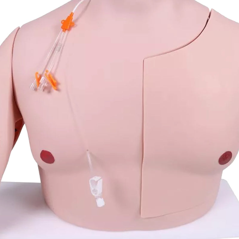 Erler-Zimmer Vascular Victor Port and CVC Trainer