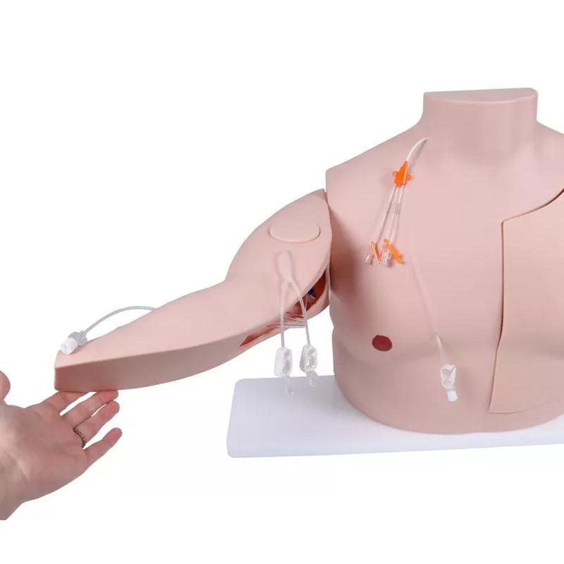Erler-Zimmer Vascular Victor Port and CVC Trainer