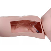 Erler-Zimmer Vascular Victor Port and CVC Trainer