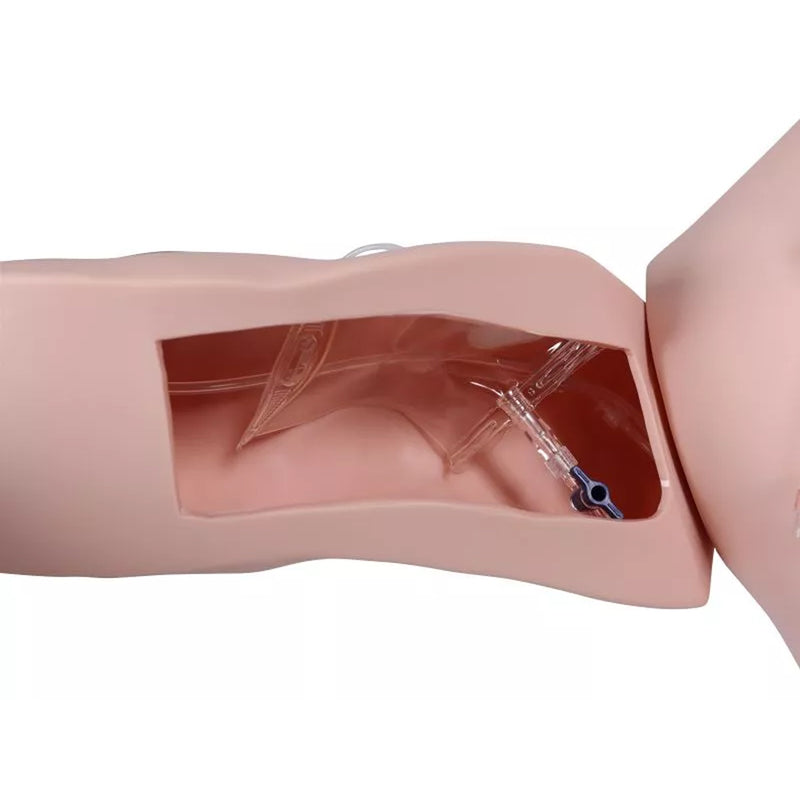 Erler-Zimmer Vascular Victor Port and CVC Trainer