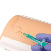 Erler Zimmer Intradermal Injection Trainer