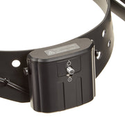 Riester ri-focus® LED Headlamp
