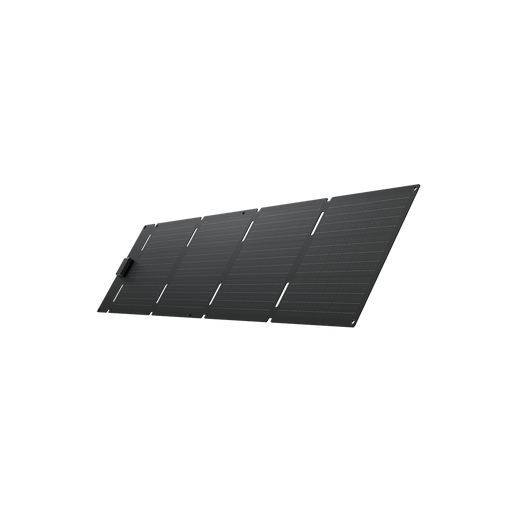 EcoFlow 60W Portable Solar Panel Type-C