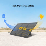 EcoFlow 60W Portable Solar Panel Type-C