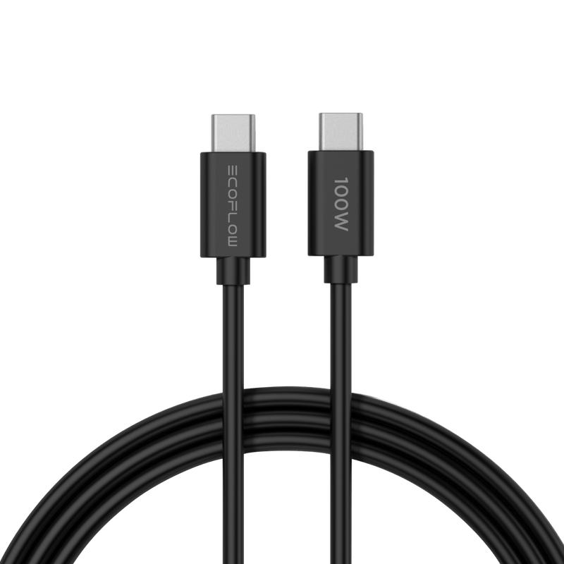 EcoFlow RAPID 65W Charger with 100W Cable