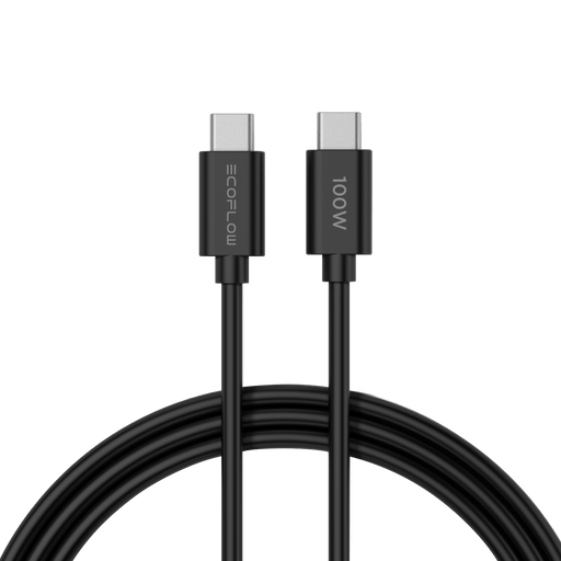 EcoFlow RAPID 65W Charger with 100W Cable