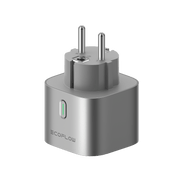 EcoFlow Smart Plug AC/DC Adapter