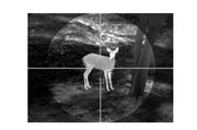 Guide TA450 Thermal Imaging Monocular and Weapon Attachment