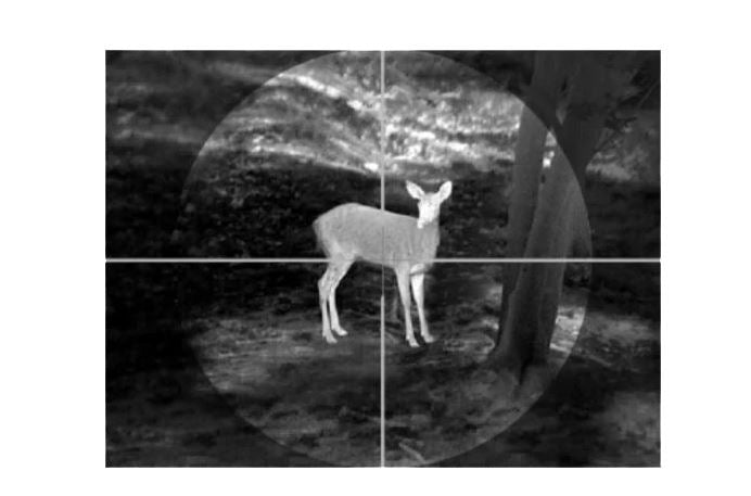 Guide TA450 Thermal Imaging Monocular and Weapon Attachment