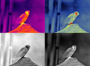 Guide TN650 Thermal Imaging Binoculars