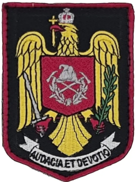 Embroidered Pompierii Shield Patch