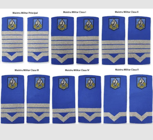 Grade Maistru Militar Clasa II Emblema Bleu-Jandarm