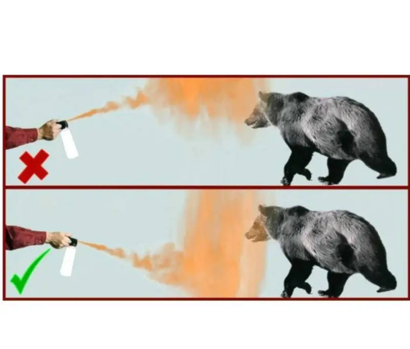 TW1000 Bear Defender Self-Defense Spray 225ml